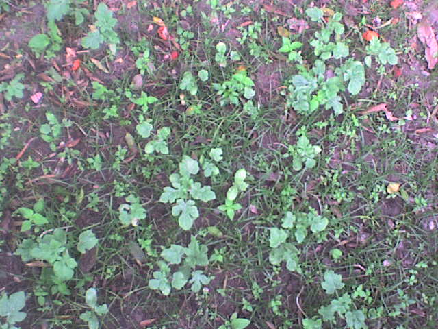 Dsc00328