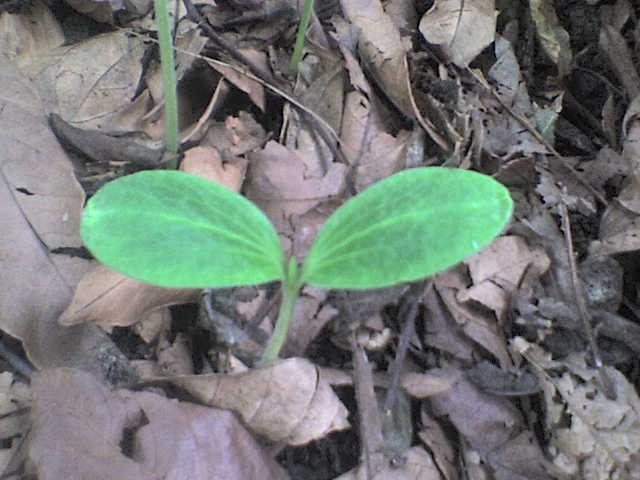 Dsc00330