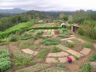 Agroecologia