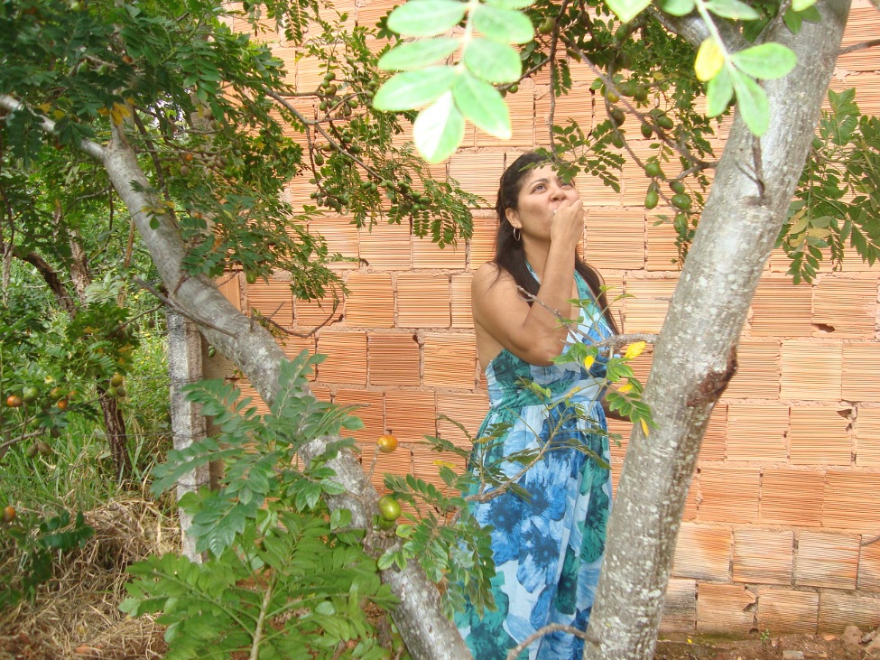 Dsc06412