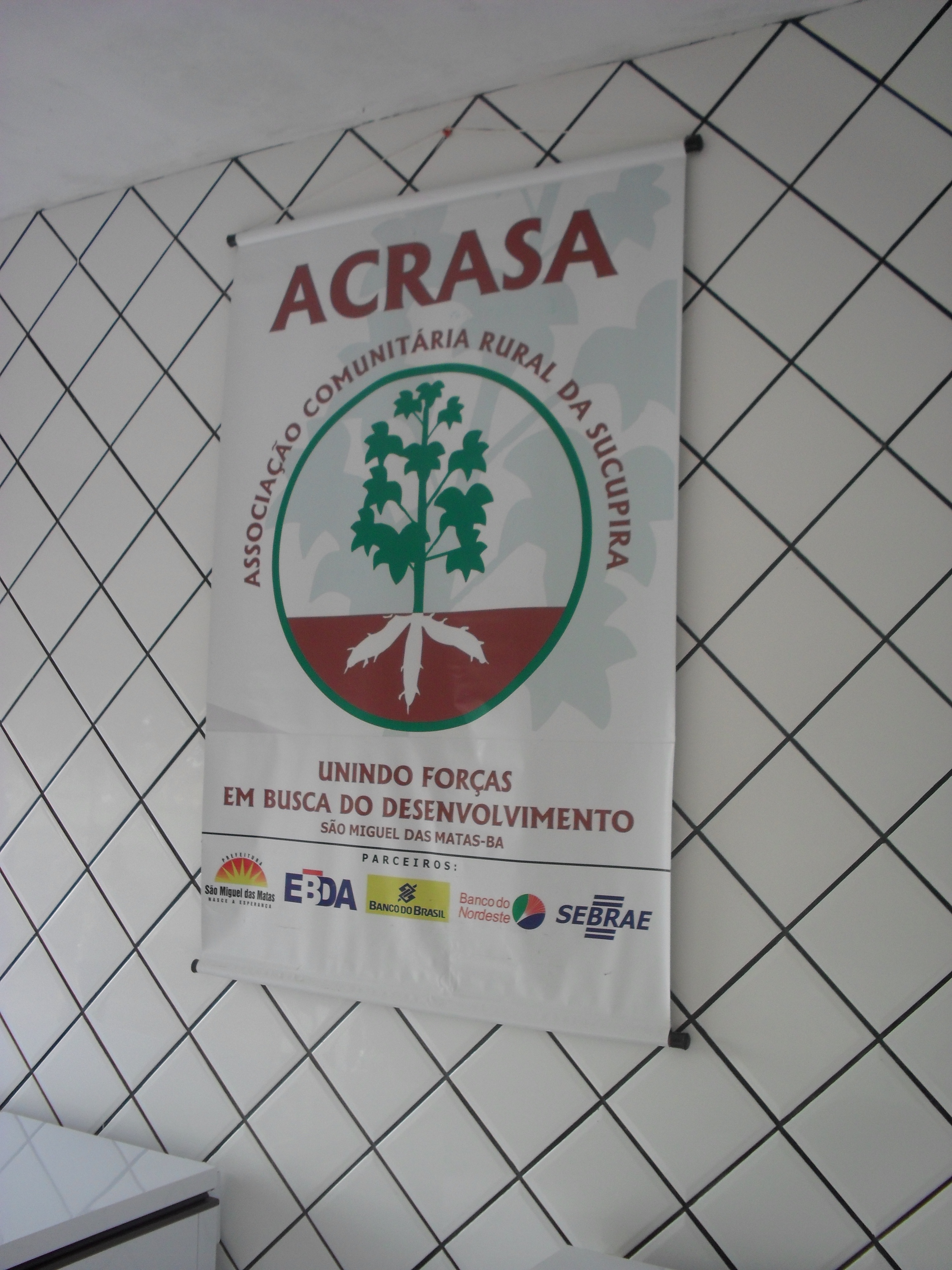 Acrasa