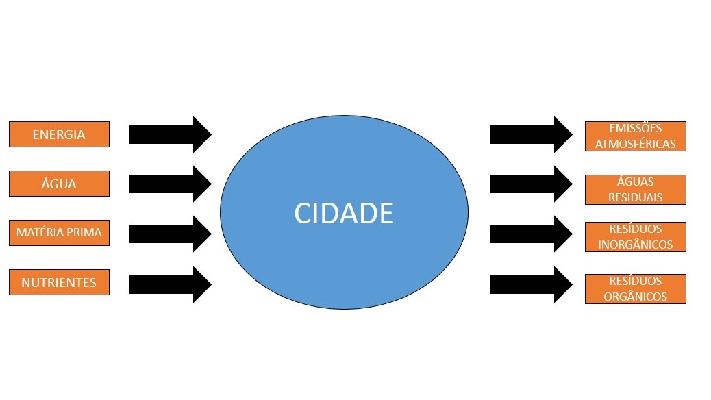 Diagrama   metabolismo linear