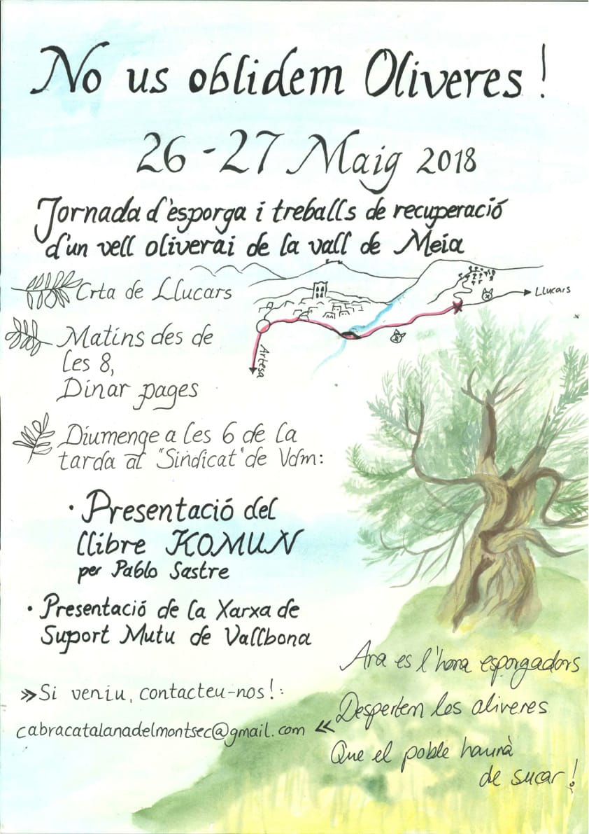2018 05 26 27 jornada oliverai komun gra