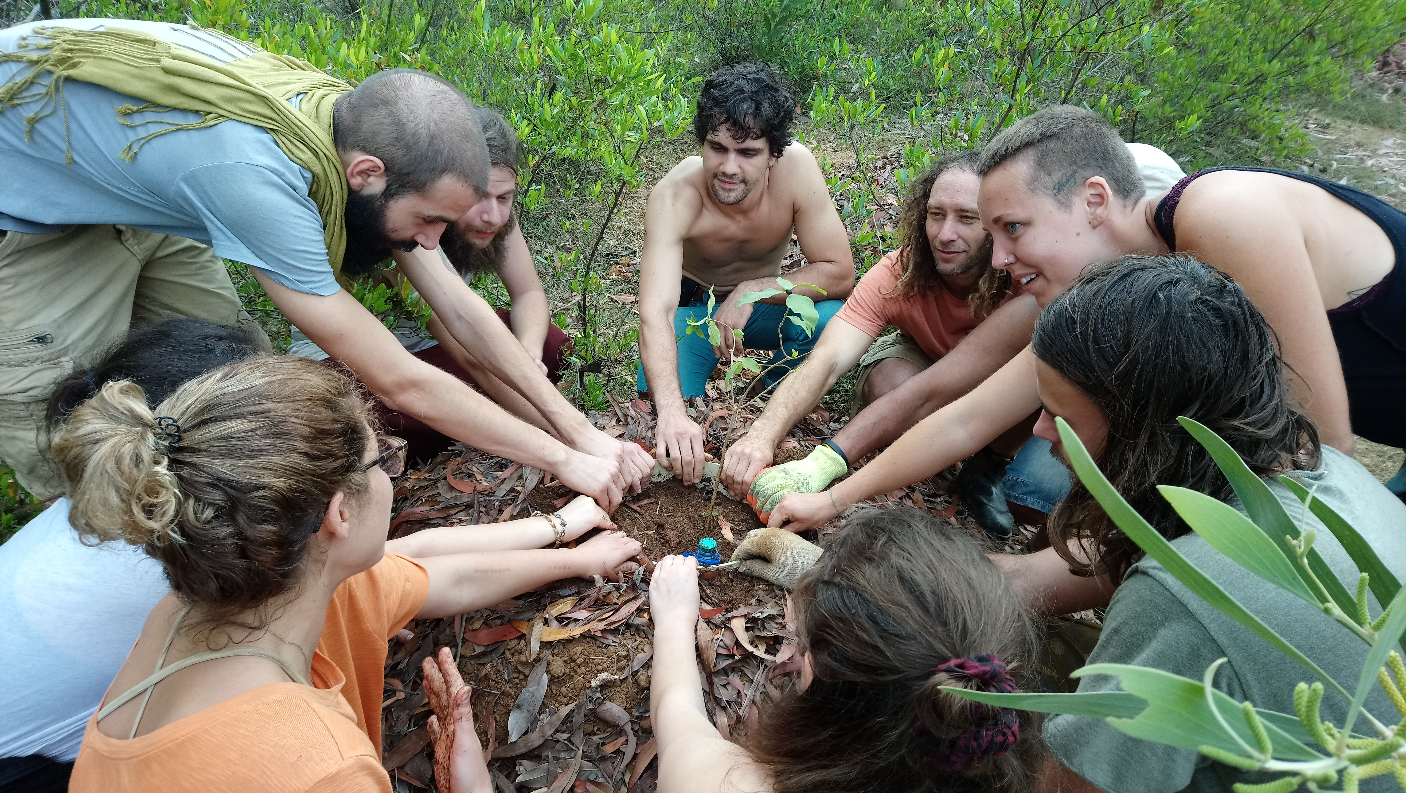 Ciro plantando árvore sf