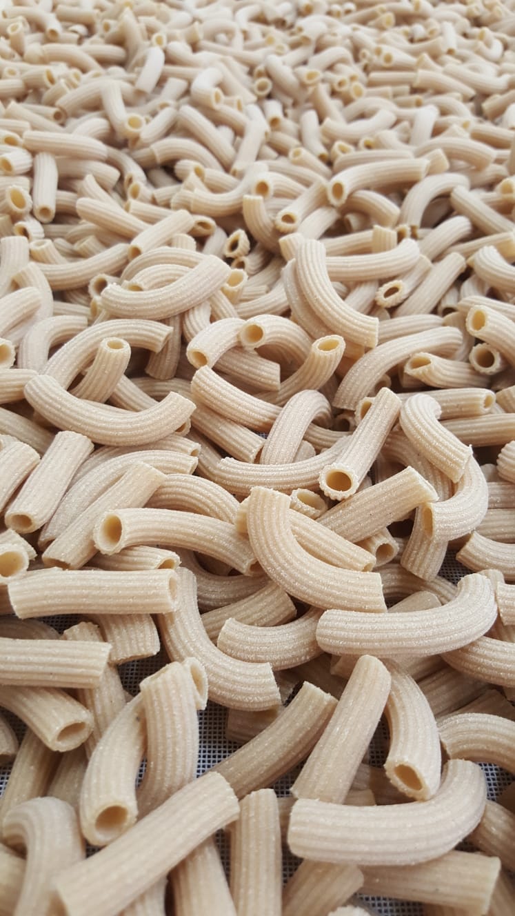 Macarrons odysee des18
