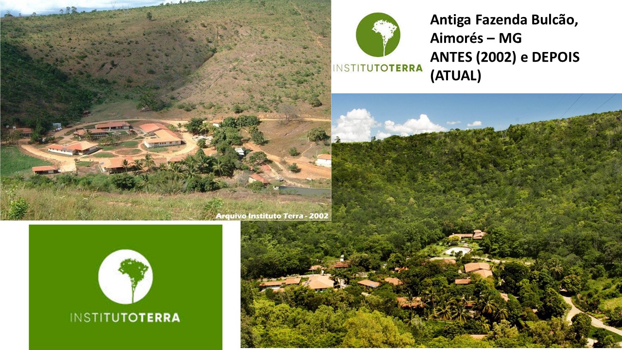 Intituto terra 1