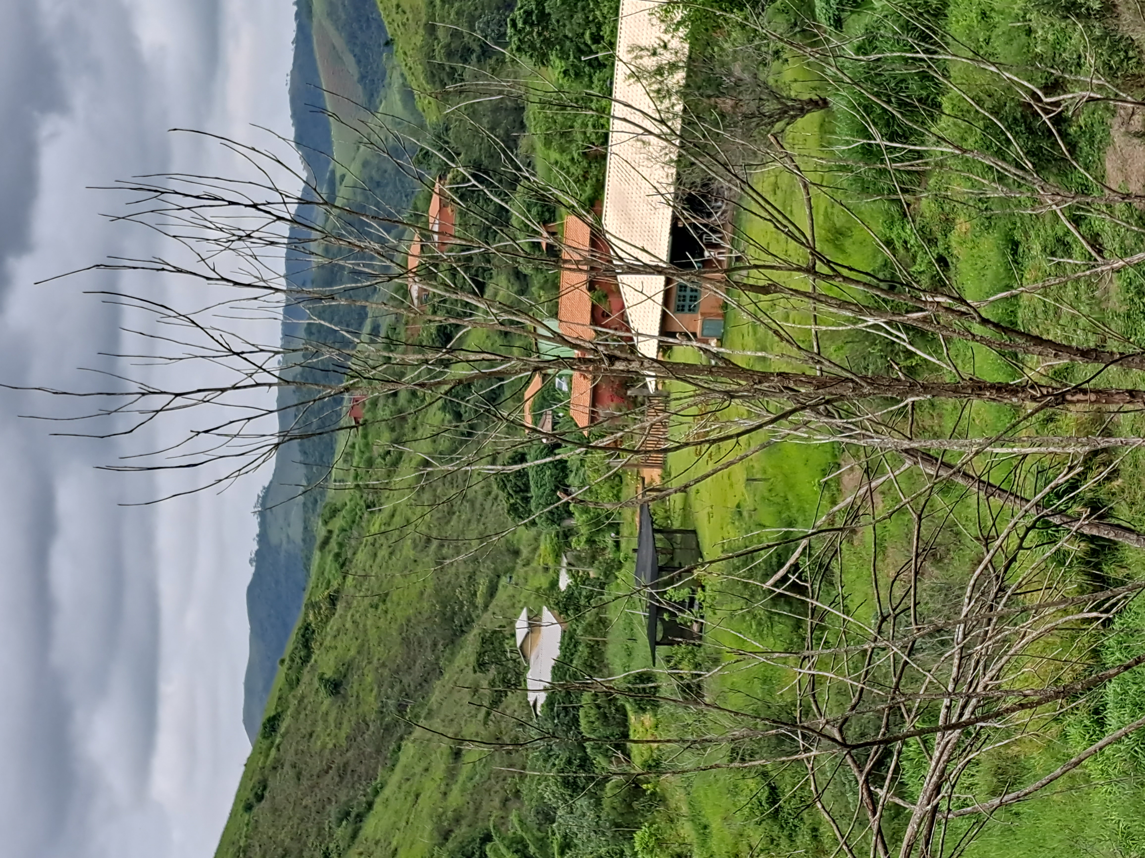 Visão purna ananda