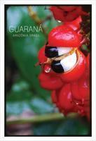 Guaraná postal