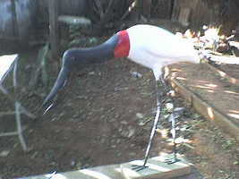 Atelie Do Luizão