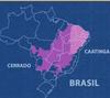 Projeto Biomas Caatinga Cerrado