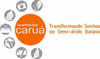 CARUA ARACI