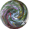 Fórum da região metropolitana de Camarões