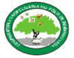 Cooperativa Agropecuária Do Pólo De Remanso Ltda