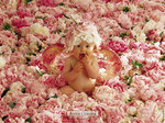 rose mary nascimento hassen
