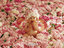 rose mary nascimento hassen