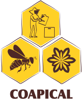 Cooperativa Dos Apicultores De Campo Alegre De Lourdes