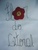 FLOR DO LITORAL