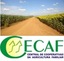 central de cooperativa de agricultura familiar