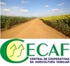 central de cooperativa de agricultura familiar