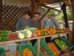 Feira Ecológica