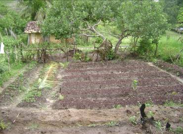 Producao agroecologica ascoma