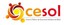 CESOL BARRA 3