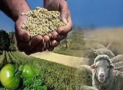 Associação de Agricultores da Sumatra