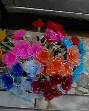 Img0547a