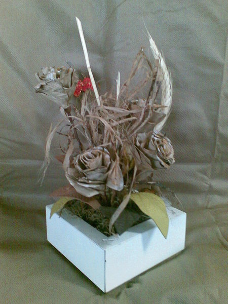 Natural2