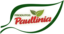 Paullinia