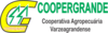 Cooperativa Agropecuária Varzeagrandesse