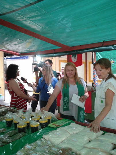 Micc na feira