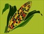 Coletivo CURRAL
