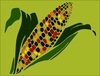 Coletivo CURRAL