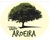 Grupo Aroeira
