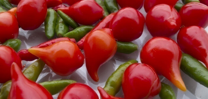 Pimenta biquinho 253506262 702x336