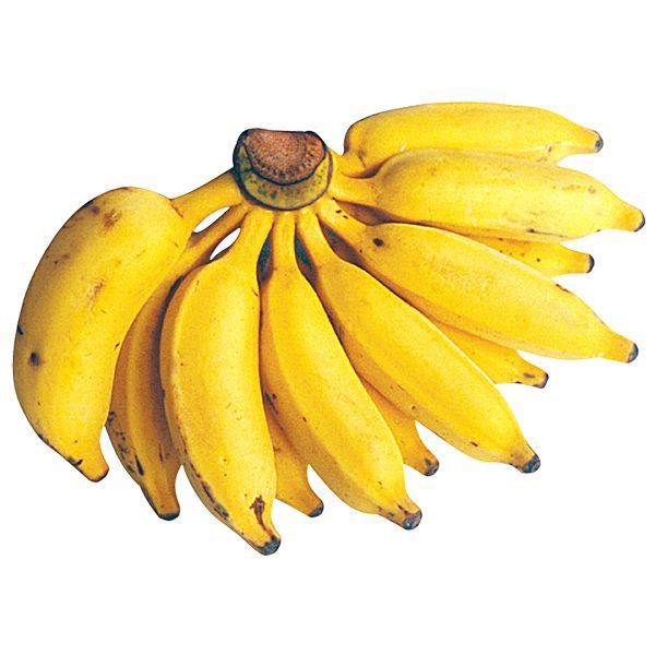 Banana prata organica