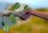 Ecocivilização