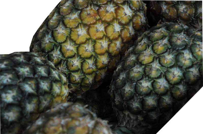 Abacaxi