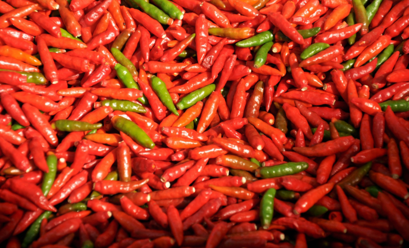 Pimenta