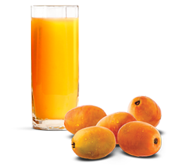 Siriguela2
