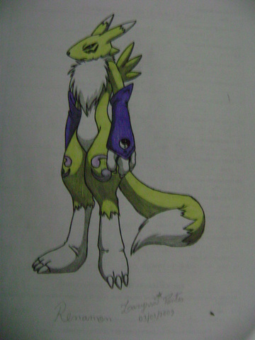 Renamon display