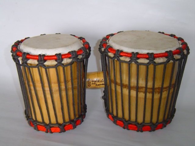 Bongo bambu display