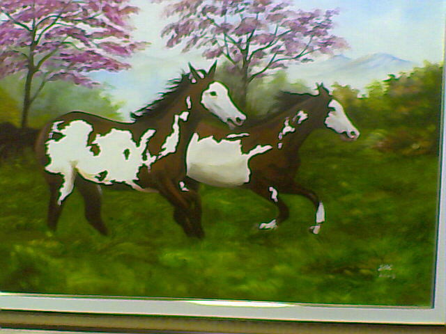 Imagem 003 display