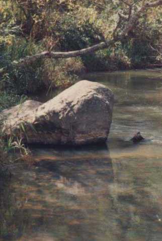 Rio brejauba display