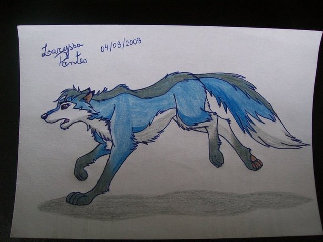 Fox display