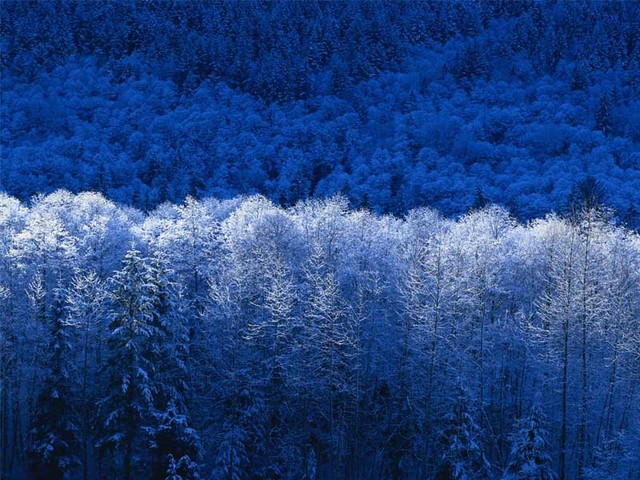 Inverno display