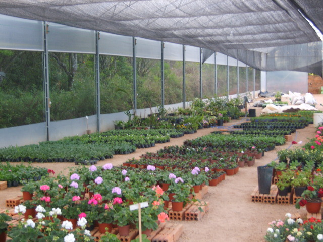 Viagens 036 display