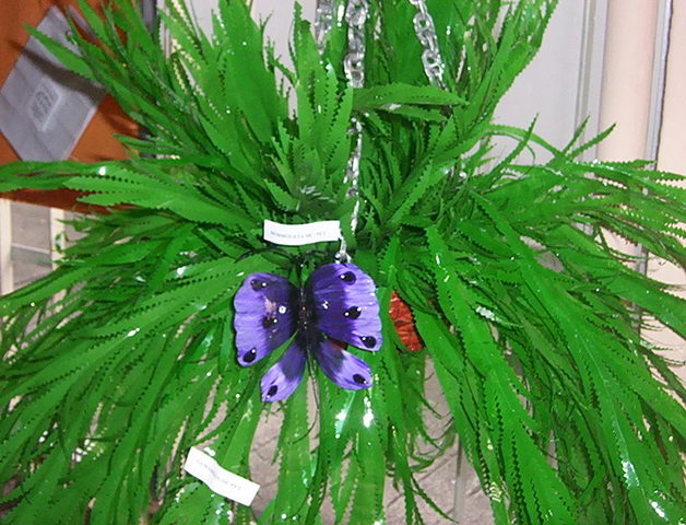 Carnaval 023 display