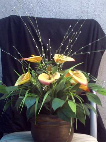 Imag0257 display